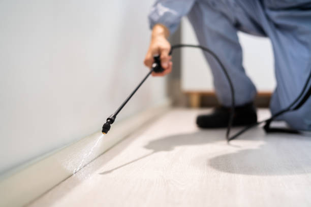 Licensed Termite Control service in El Cenizo, TX - Nex Pest Control