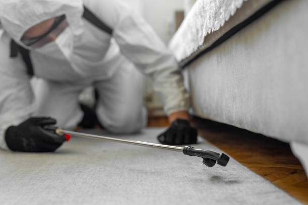 Professional Termite Control technician working in El Cenizo, TX