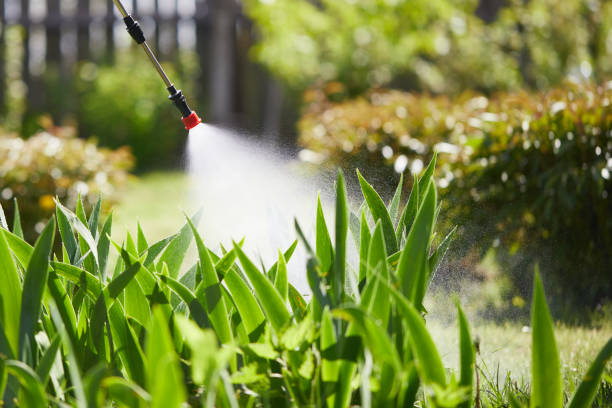 24/7 Emergency Termite Control experts in El Cenizo, TX