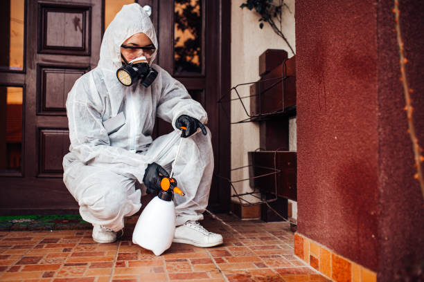 Reliable Termite Control contractor in El Cenizo, TX by Nex Pest Control