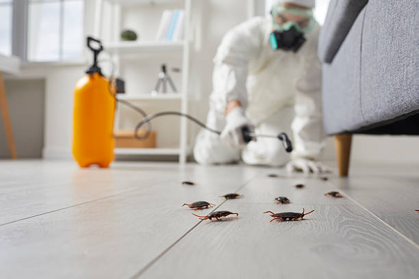 Trusted Termite Control service in El Cenizo, TX - Nex Pest Control